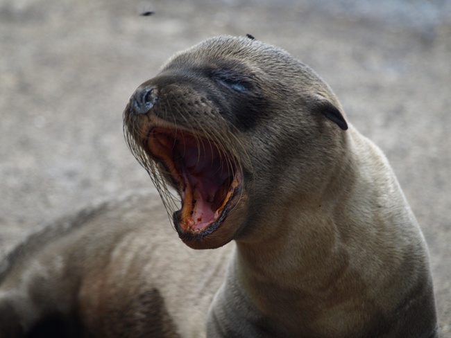 ../../Pictures/050210/075 Hunger.JPG